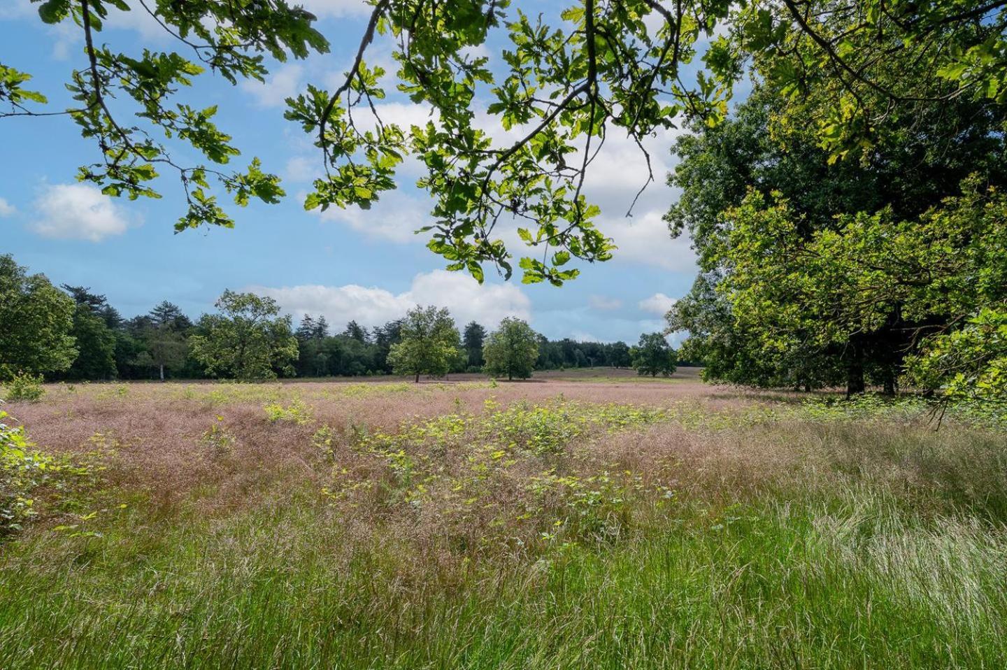 Landhuisje 31 'De Akkersteen' Bospark Ijsselheide Zwolle Hattemerbroek 外观 照片